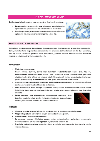 7.-gaia.pdf