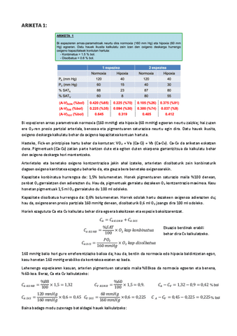 8.-GAIA-ARIKETAK.pdf