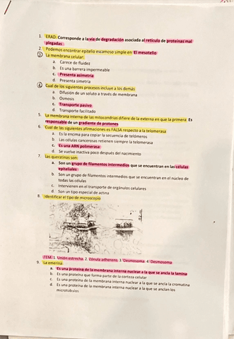 Examen-biologia-celular.pdf