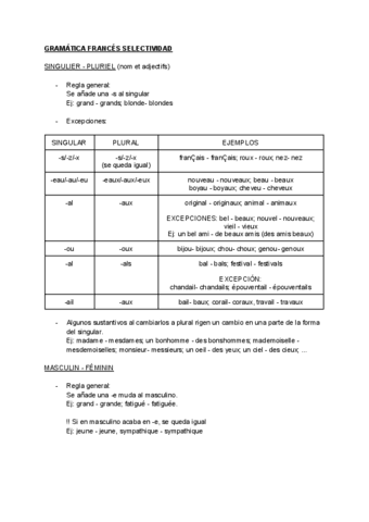 Gramatica-Frances-Selectividad.pdf