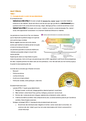 Tots-apunts-Salut-publica.pdf