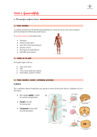 ANATOMIA.pdf