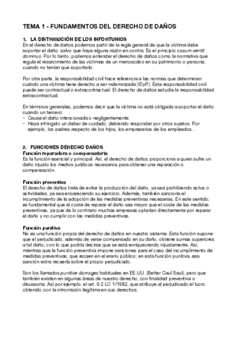Tema-1-Derecho-Danos.pdf