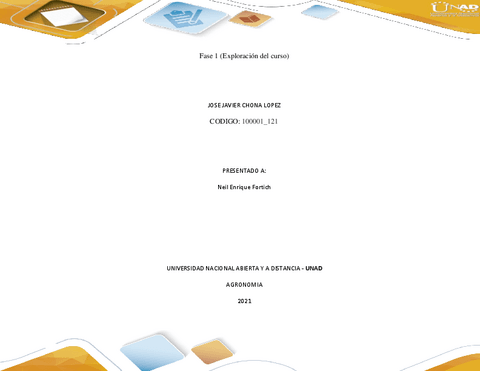 Plantilla-de-informacion-Fase-1.pdf