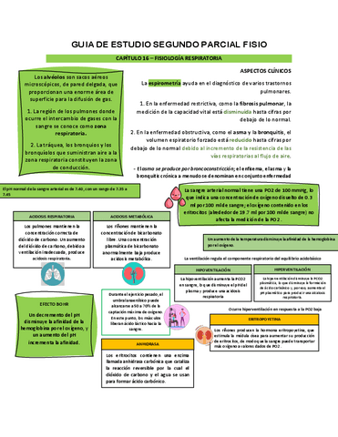 Fisiologia-respiratoria-resumen.pdf