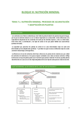 TEMA-7.-BLOQUE-III.pdf
