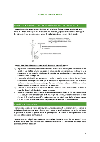 TEMA-9.pdf