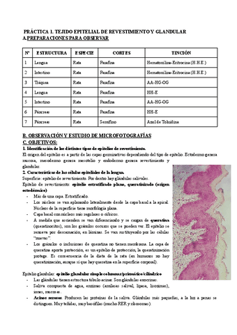 Cuestiones-de-Practicas-curso-19-20.pdf