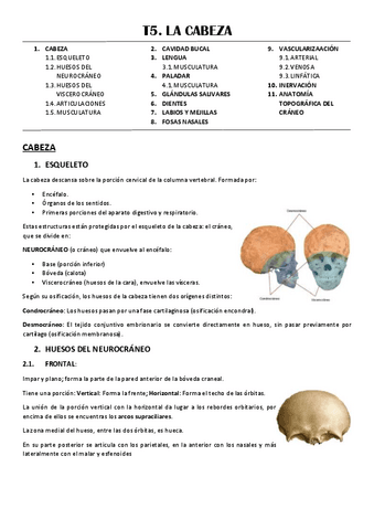 T5-CABEZA.pdf