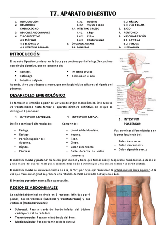 T7-APARATO-DIGESTIVO.pdf