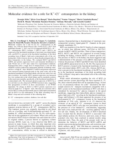 MolecularevidenceforaroleforKClc.pdf