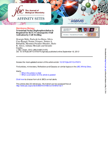 Nterminalserinedephosphorylationisr.pdf