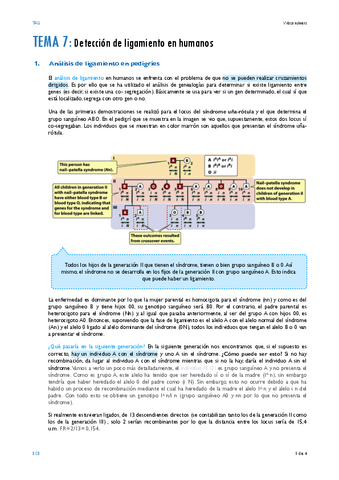 TEMA-7.pdf