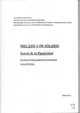 Libro Plasticidad.pdf