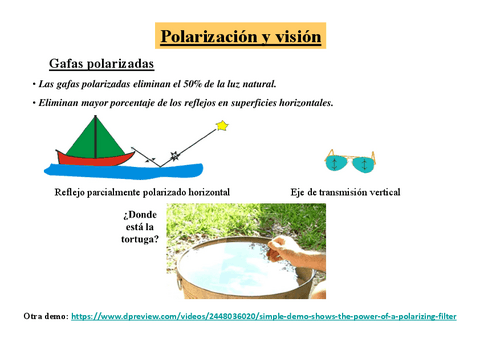 Tema-5-Polarizacion-en-Vision.pdf