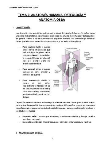 TEMA-2-ANTROPOLOGIA-FORENSE.pdf