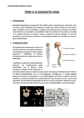 TEMA-4-ANTROPOLOGIA-FORENSE.pdf