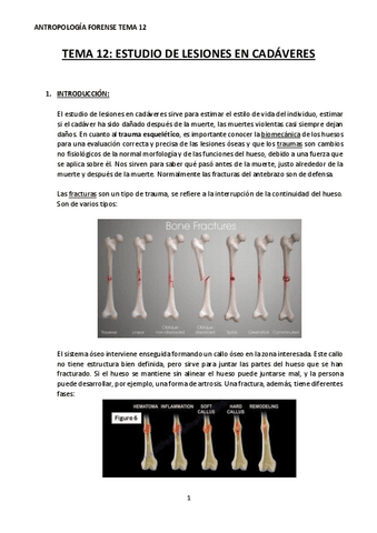 TEMA-12-ANTROPOLOGIA-FORENSE.pdf