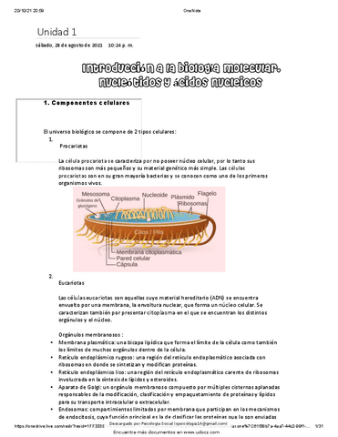 Biologia-molecular.pdf