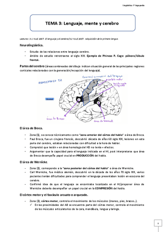 Tema-3-Lenguaje-mente-y-cerebro.pdf