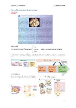 Tema 6 Neuropsicología.pdf