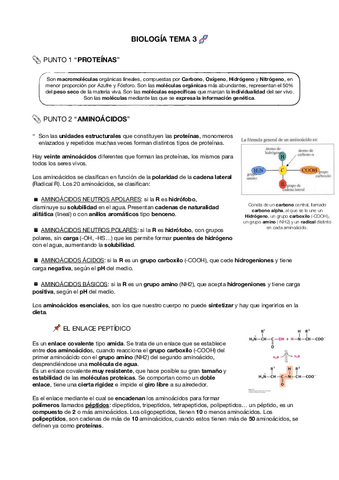 Proteinas-y-enzimas.pdf