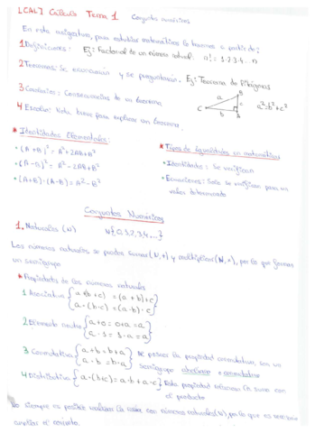 CAL 1 - Conjuntos Numéricos- Numeros Complejos y Definiciones.pdf