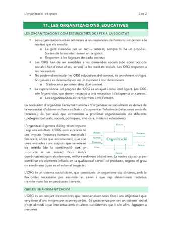 Magistral-organitzacio.pdf