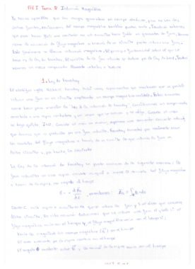 FFEI 8 - Inducción magnética.pdf