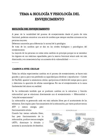 TEMA-4.pdf