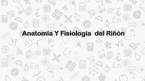 Anatomia-y-Fisiologia-del-Rinon-..pdf