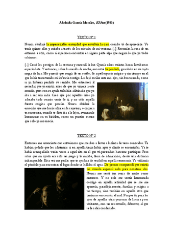 1-Iluminacion-Adelaida-Garcia-Morales-El-Sur.pdf