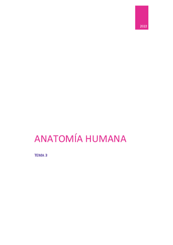 Tema 3 Anatomia Humana Pdf