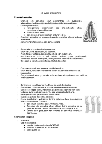 19.-gaia-esmaltea.docx.pdf
