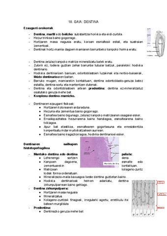 18.-gaia-dentina.docx.pdf