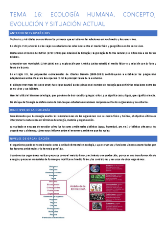 TEMA-16.-SALUD-PUBLICA-PDF.pdf