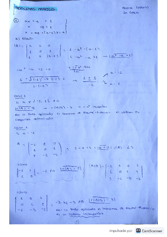 mate-problemas-matrices-pandemia.pdf