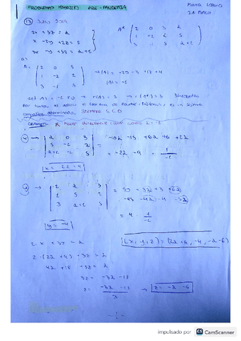 mate-problemas-matrices-pre-pandemia-1.pdf