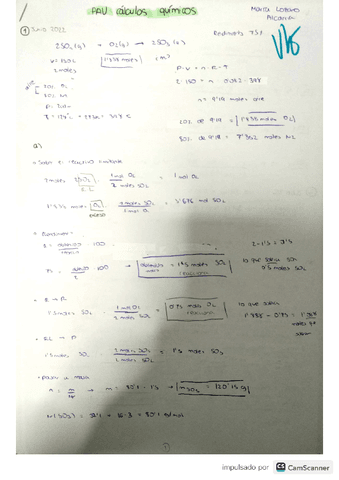 Pau-calculos-quimicos.pdf