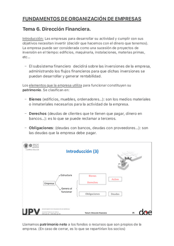 Tema-6.-Direccion-Financiera-Resumen.pdf