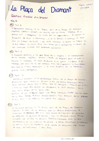 la-placa-del-diamant-questions.pdf