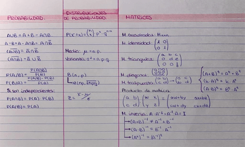 probabilidad-distribuciones-de-probabilidad-matrices.pdf