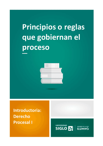 2-Principios-o-reglas-que-gobiernan-el-proceso.pdf