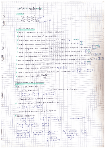 tema-1.-matrices.pdf