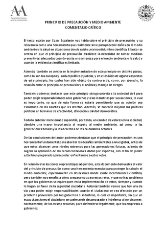 PRINCIPIO-DE-PRECAUCION-Y-MEDIO-AMBIENTE.pdf
