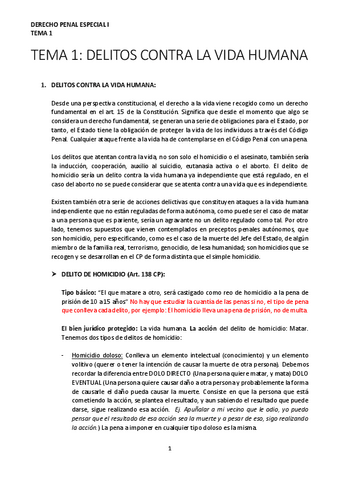 TEMA-1-DCHO-PENAL.pdf
