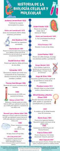 linea-del-tiempo-.pdf