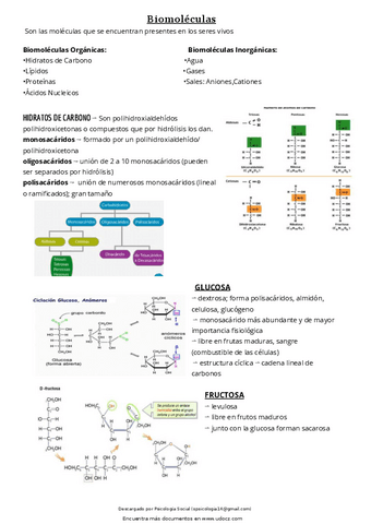 quimica-biologia-.pdf