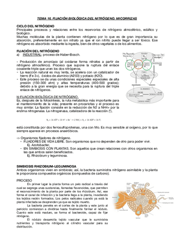 TEMA-16.pdf