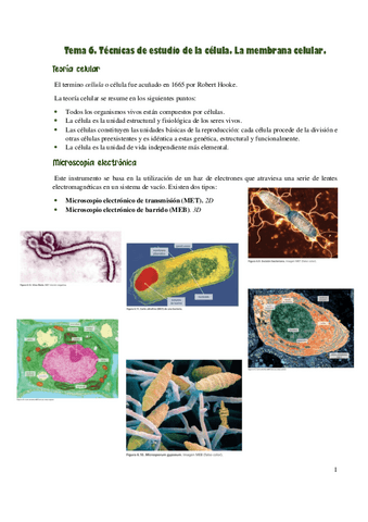 Bloque-2-EvAU.pdf